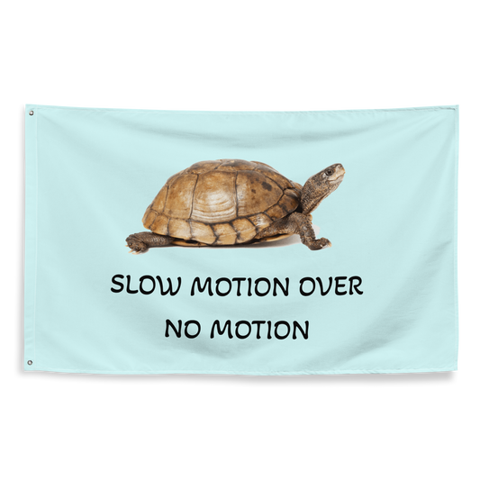 Slow Motion Over No Motion Flag
