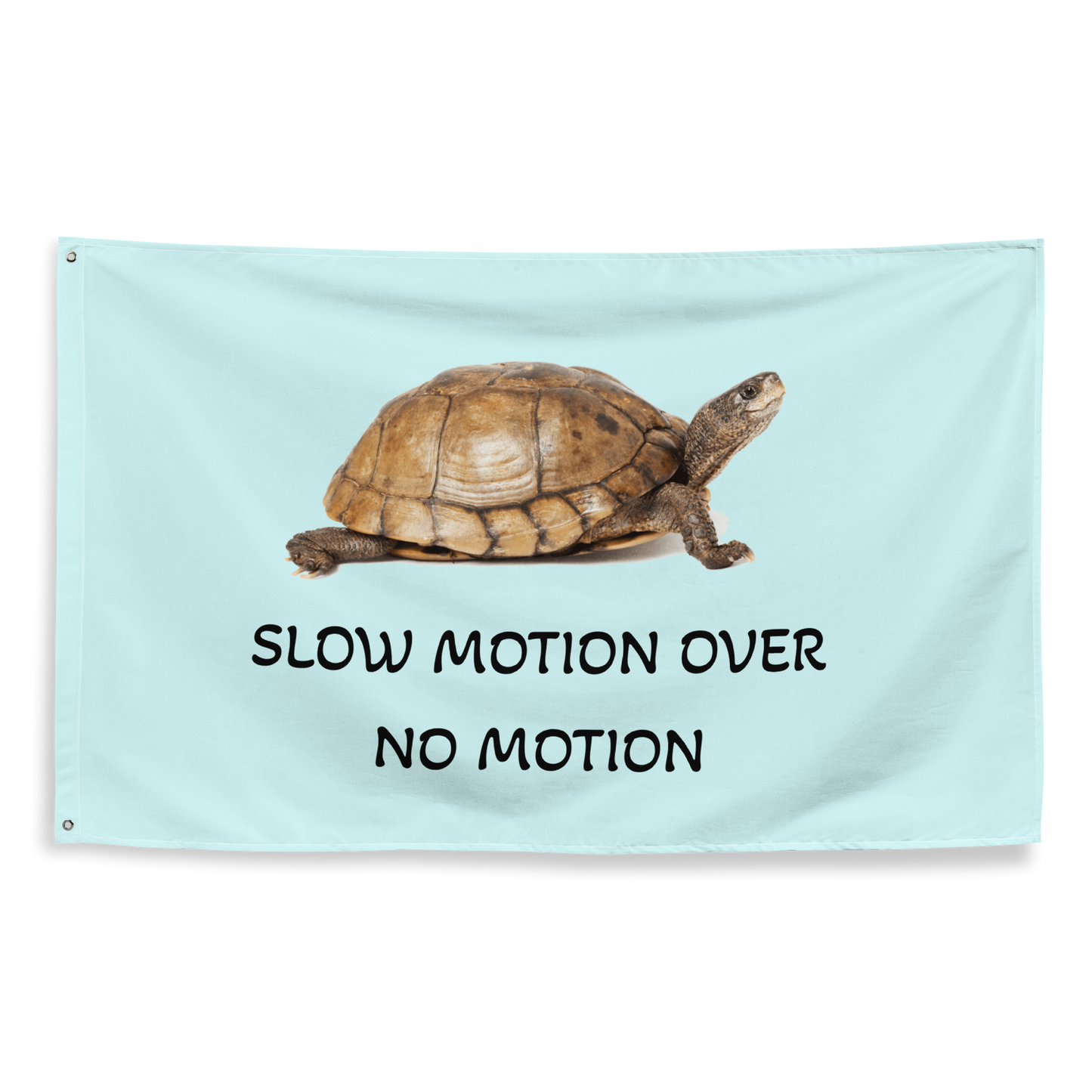 Slow Motion Over No Motion Flag