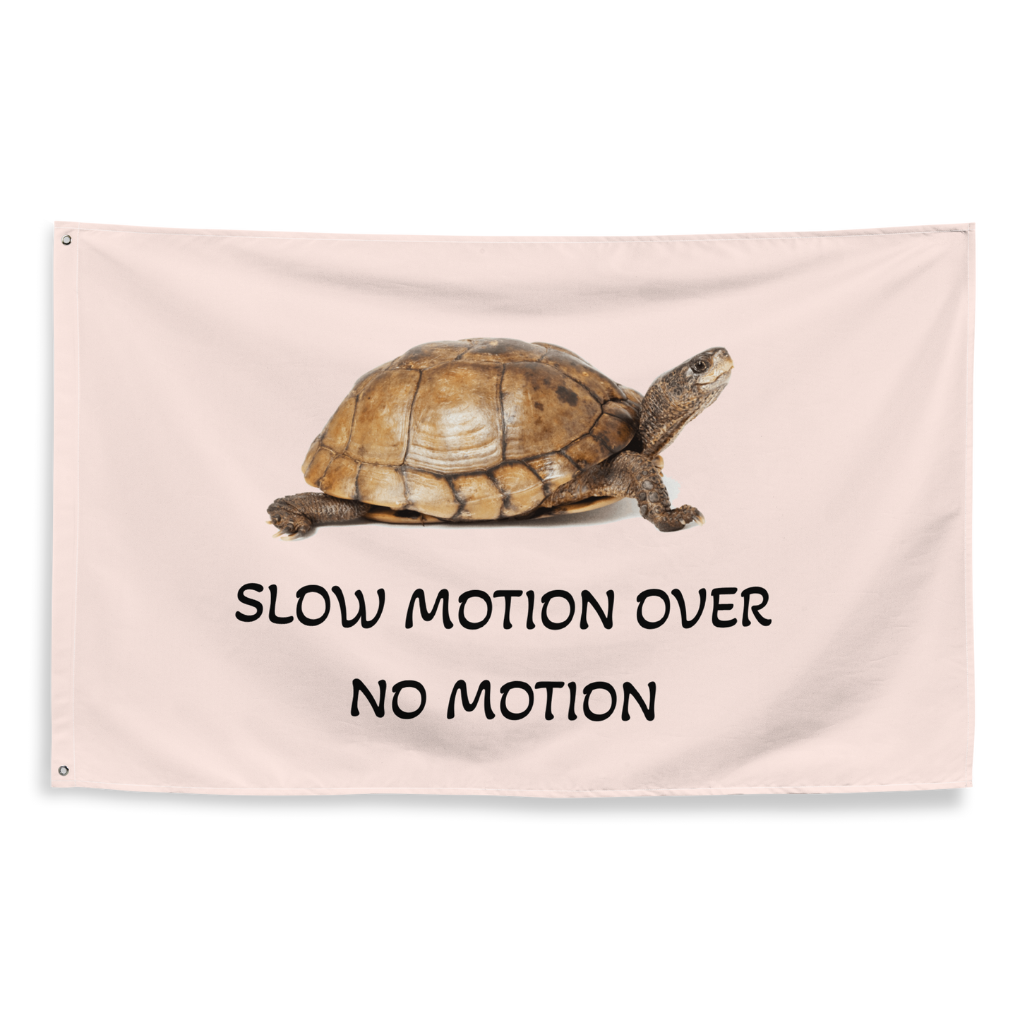 Slow Motion Over No Motion Flag