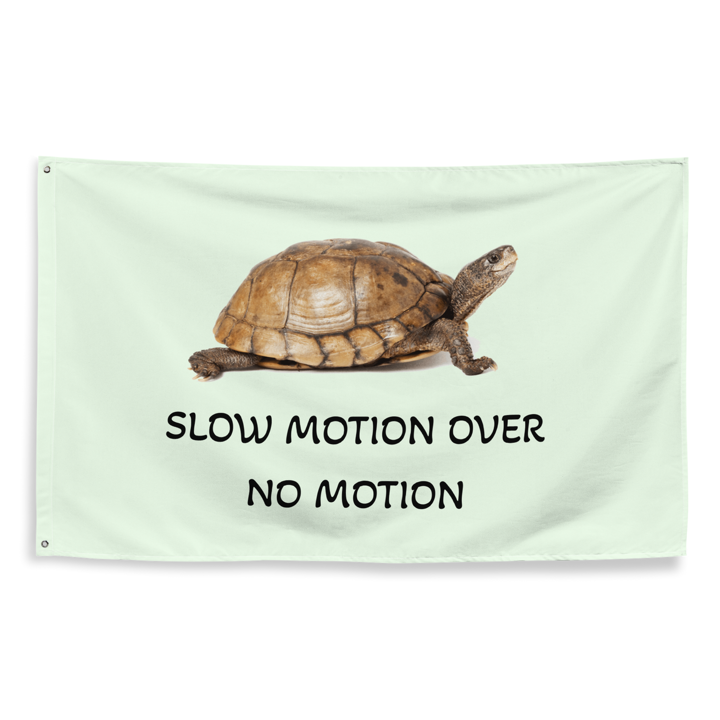 Slow Motion Over No Motion Flag